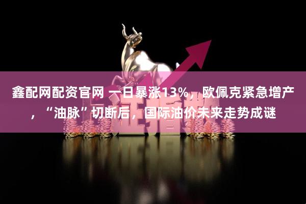 鑫配网配资官网 一日暴涨13%，欧佩克紧急增产，“油脉”切断后，国际油价未来走势成谜